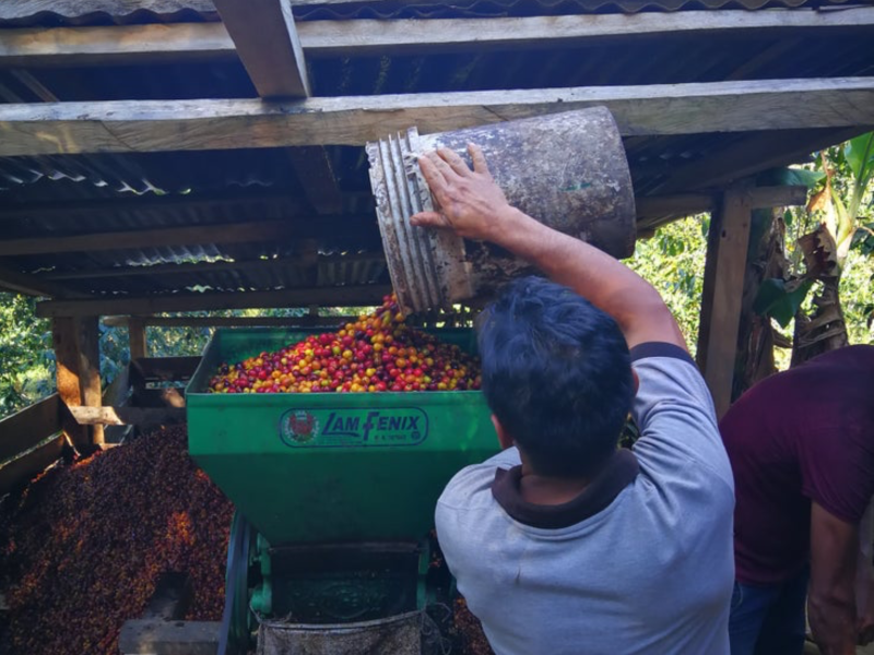 DC-C-0010-sanmartin11