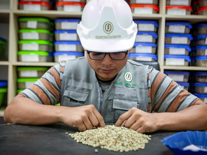 DC-C-0010-sanmartin2