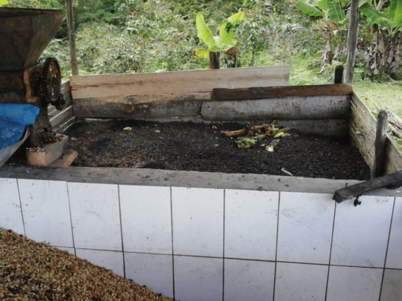 DC-C-0010-sanmartin3