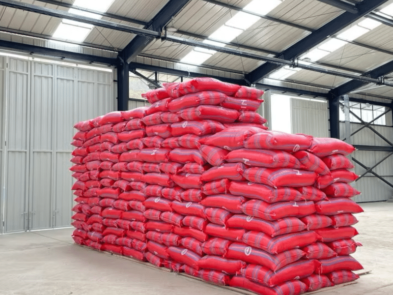 DC-C-0010-sanmartin4