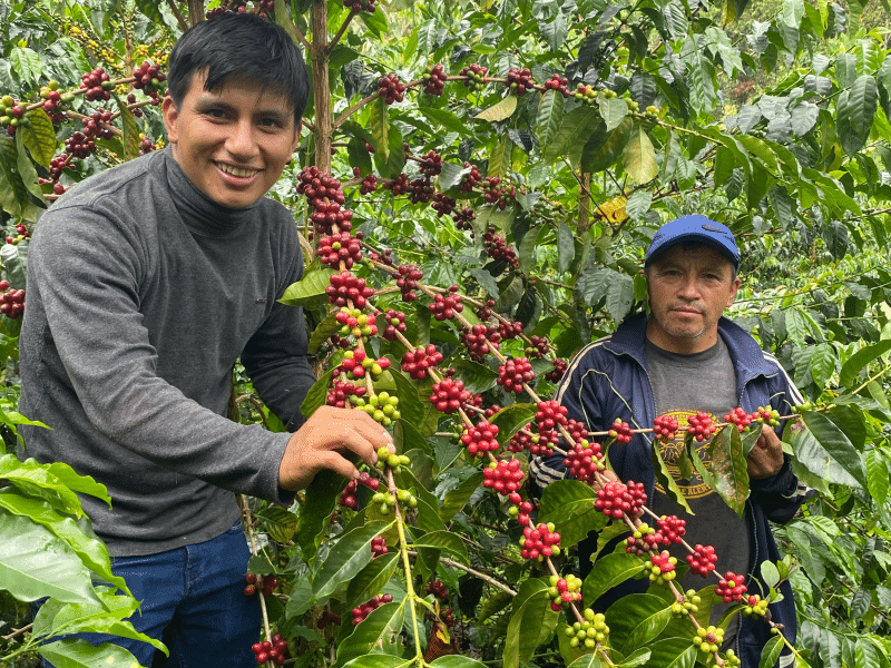 DC-C-0010-sanmartin8