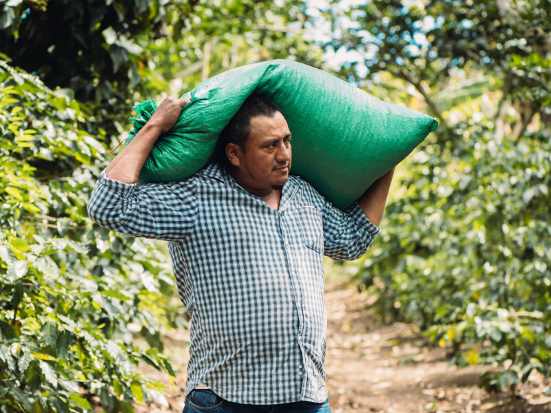 DC-C-0017-Soppexcca5