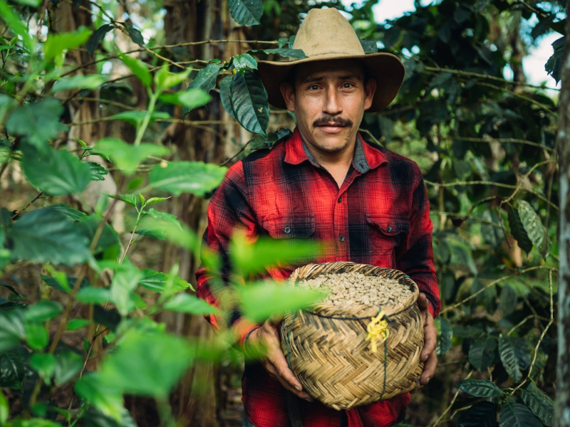 DC-C-0017-Soppexcca8