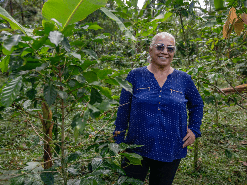 DC-C-0017-Soppexcca9